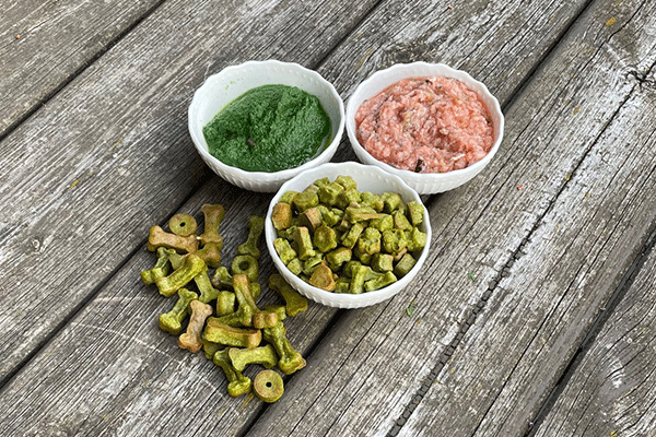 Lachs-Spinat